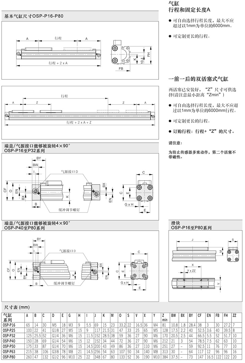 派克無桿氣缸-21.jpg