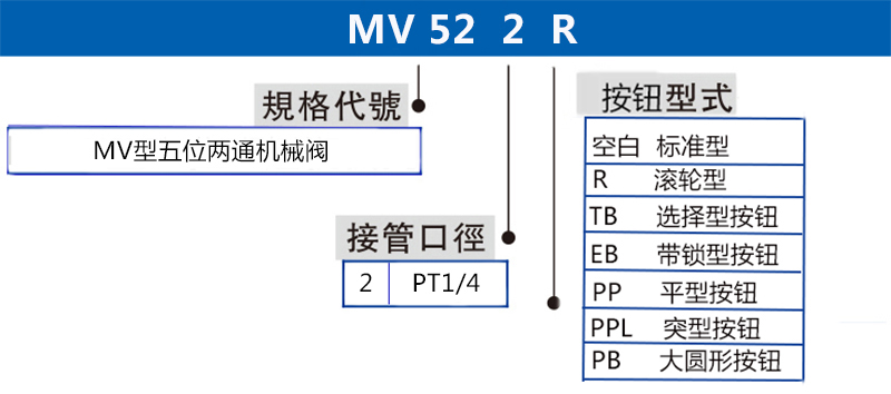 MV522 拷貝.jpg